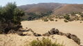 Při našich cestách po Limnosu nemůžeme zapomenout navštívit písečné duny Ammoudines
